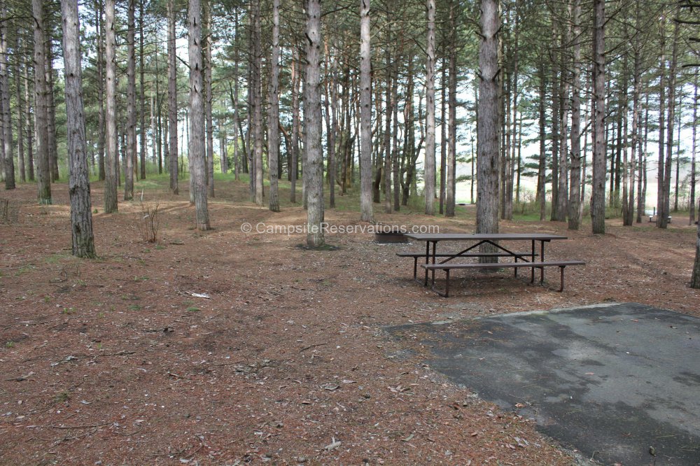 Campsite 101 in KohlerAndrae State Park Campground at KohlerAndrae State Park, Wisconsin